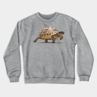 Marching Baby Tortoise Cartoon Vector Isolated Crewneck Sweatshirt